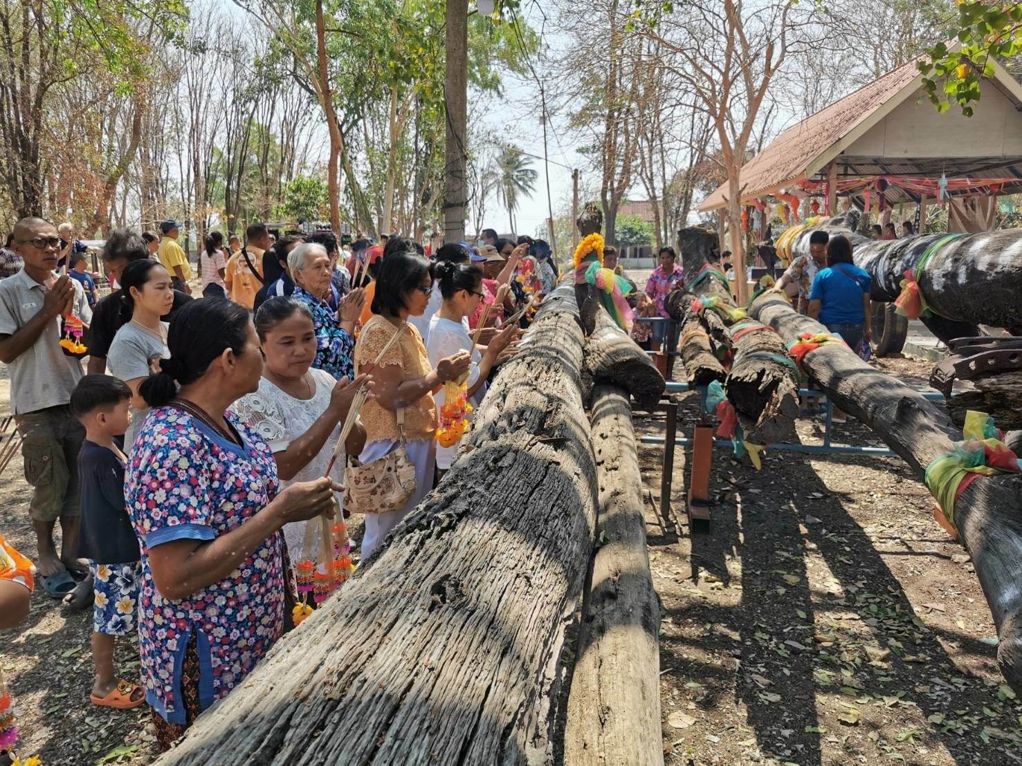 People come to pray for Takian tree