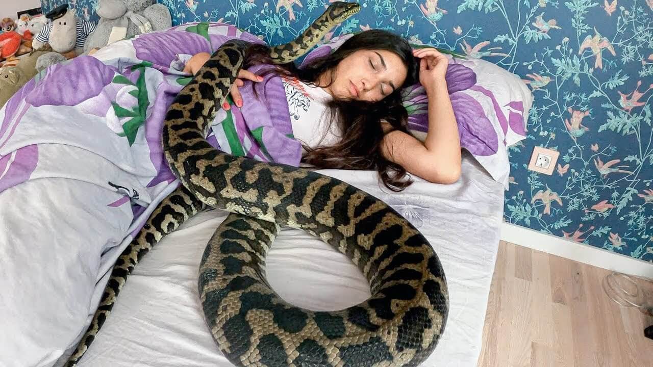 นอนกับงู