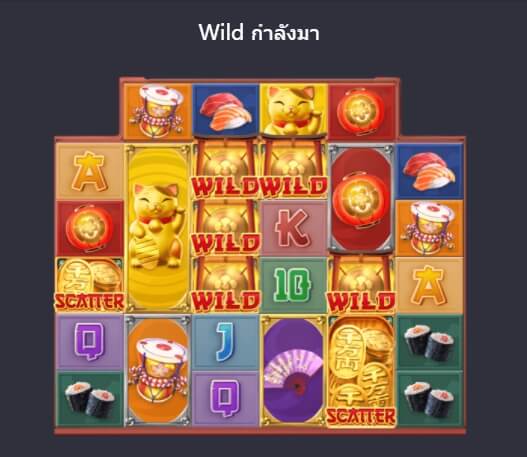 Wild กำลังมา